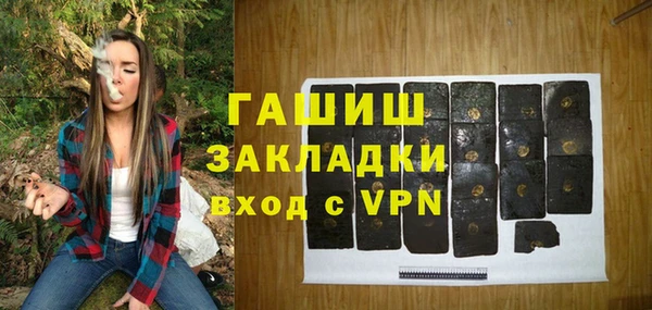 хмурый Арсеньев