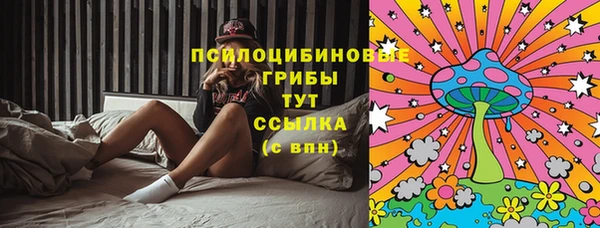хмурый Арсеньев