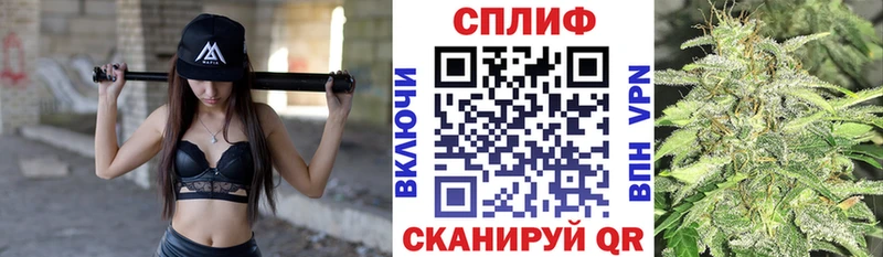 Бошки Шишки план  где можно купить   Артёмовский 
